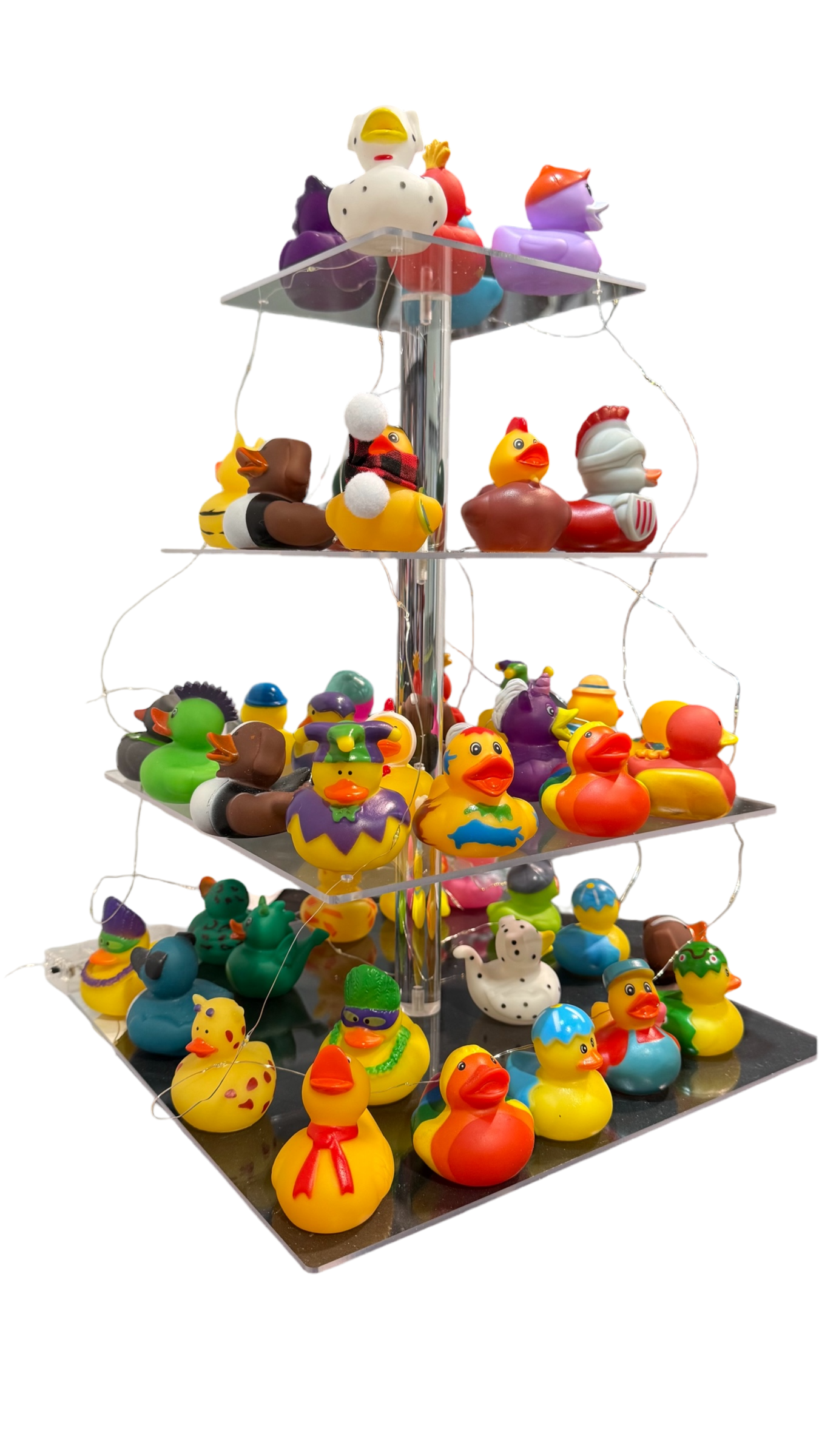 Assorted Duck Display