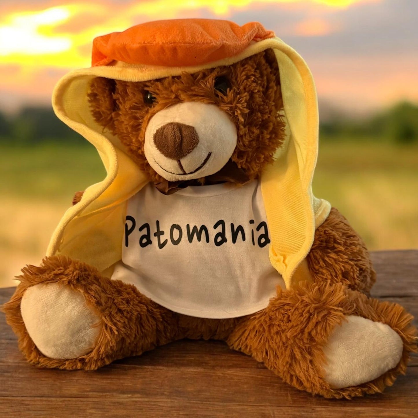 Teddy Bear with Duck Robe