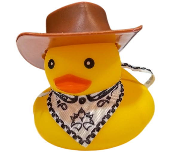 Cowboy  Duck