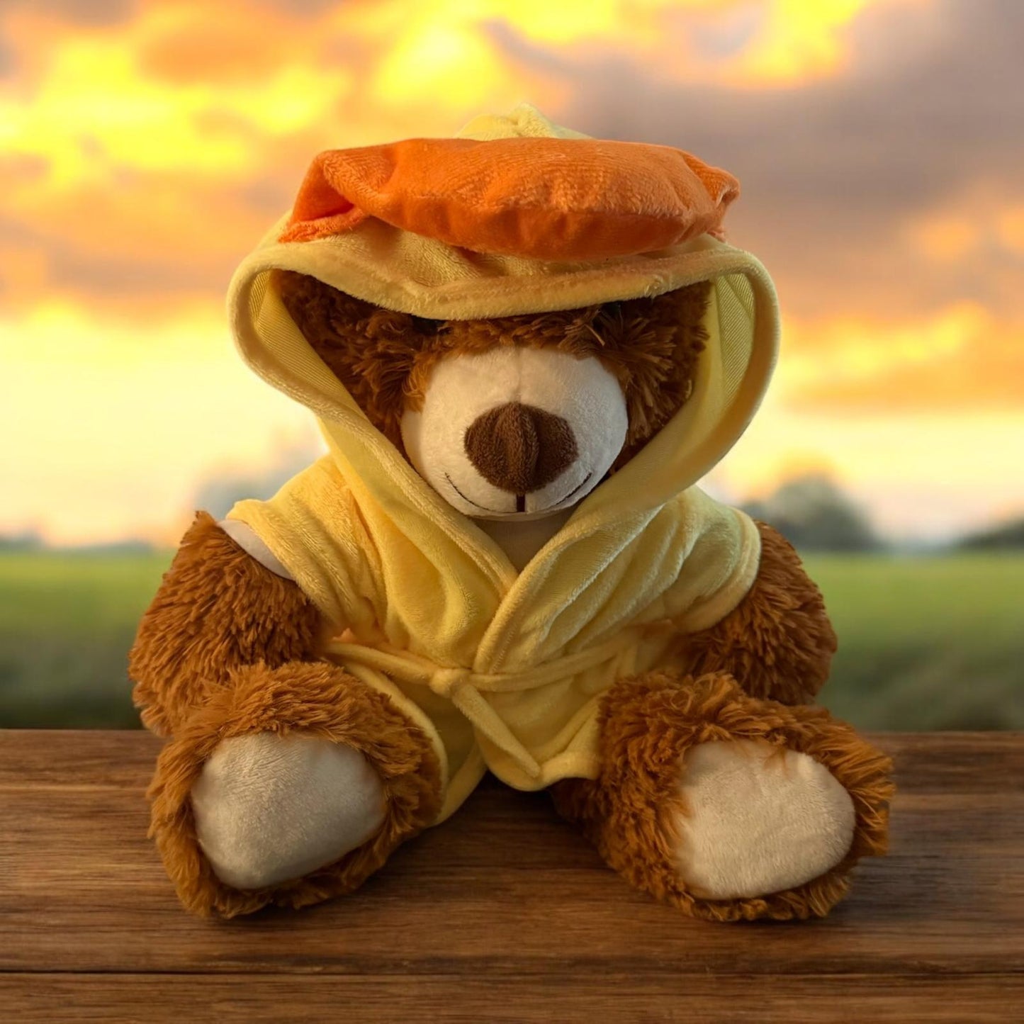 Teddy Bear with  Duck Robe