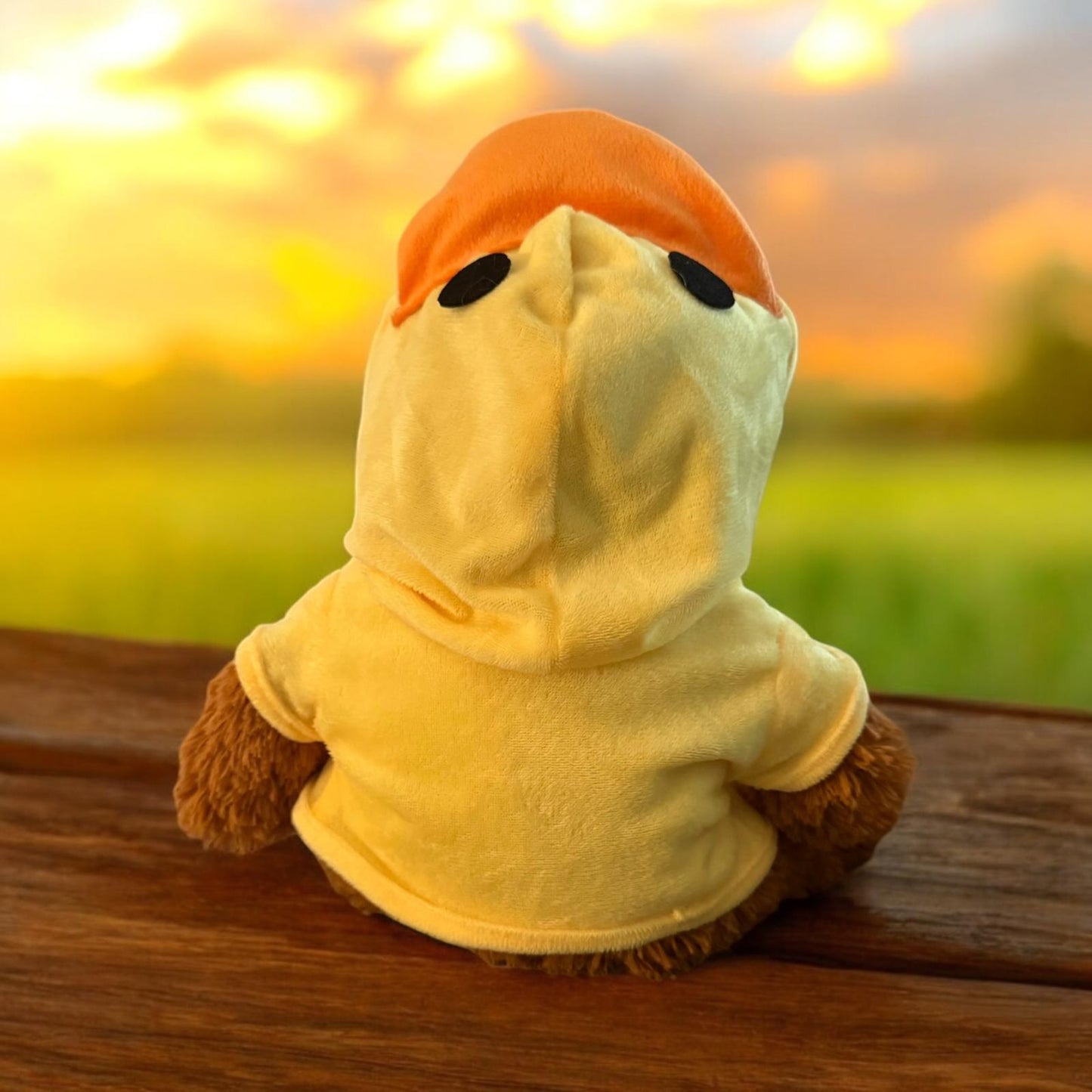 Teddy Bear with  Duck Robe